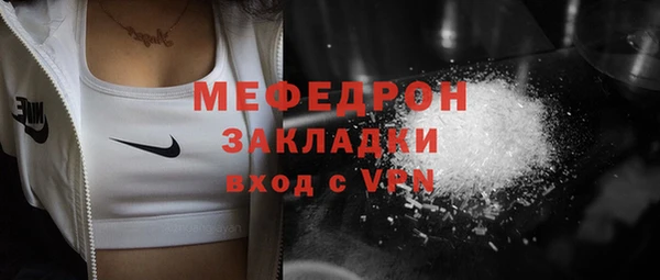 гидра Няндома