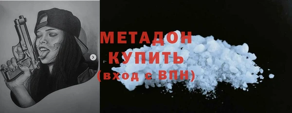 гидра Няндома