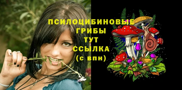 гидра Новодвинск