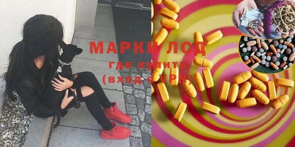 гидра Няндома