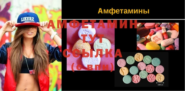 гидра Няндома