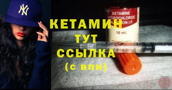 гидра Няндома